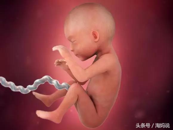 胎儿发育40周全过程关注事项,赞宝宝训练抬头的句子