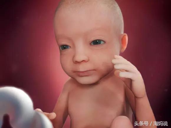 胎儿发育40周全过程关注事项,赞宝宝训练抬头的句子