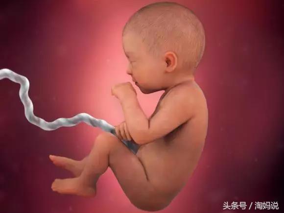 胎儿发育40周全过程关注事项,赞宝宝训练抬头的句子
