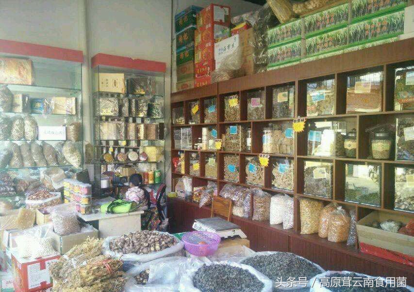 农村赚钱点子,农村致富新点子