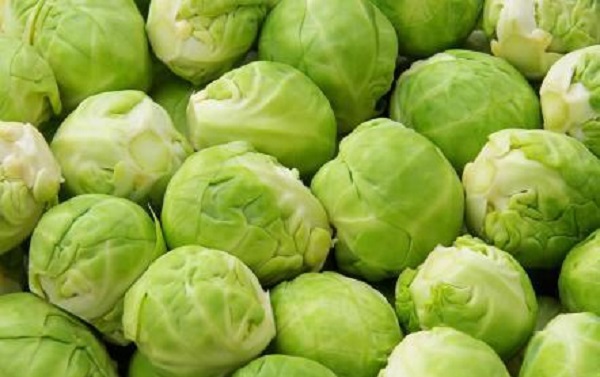 世界公认十大健康果蔬,世界十大健康蔬菜