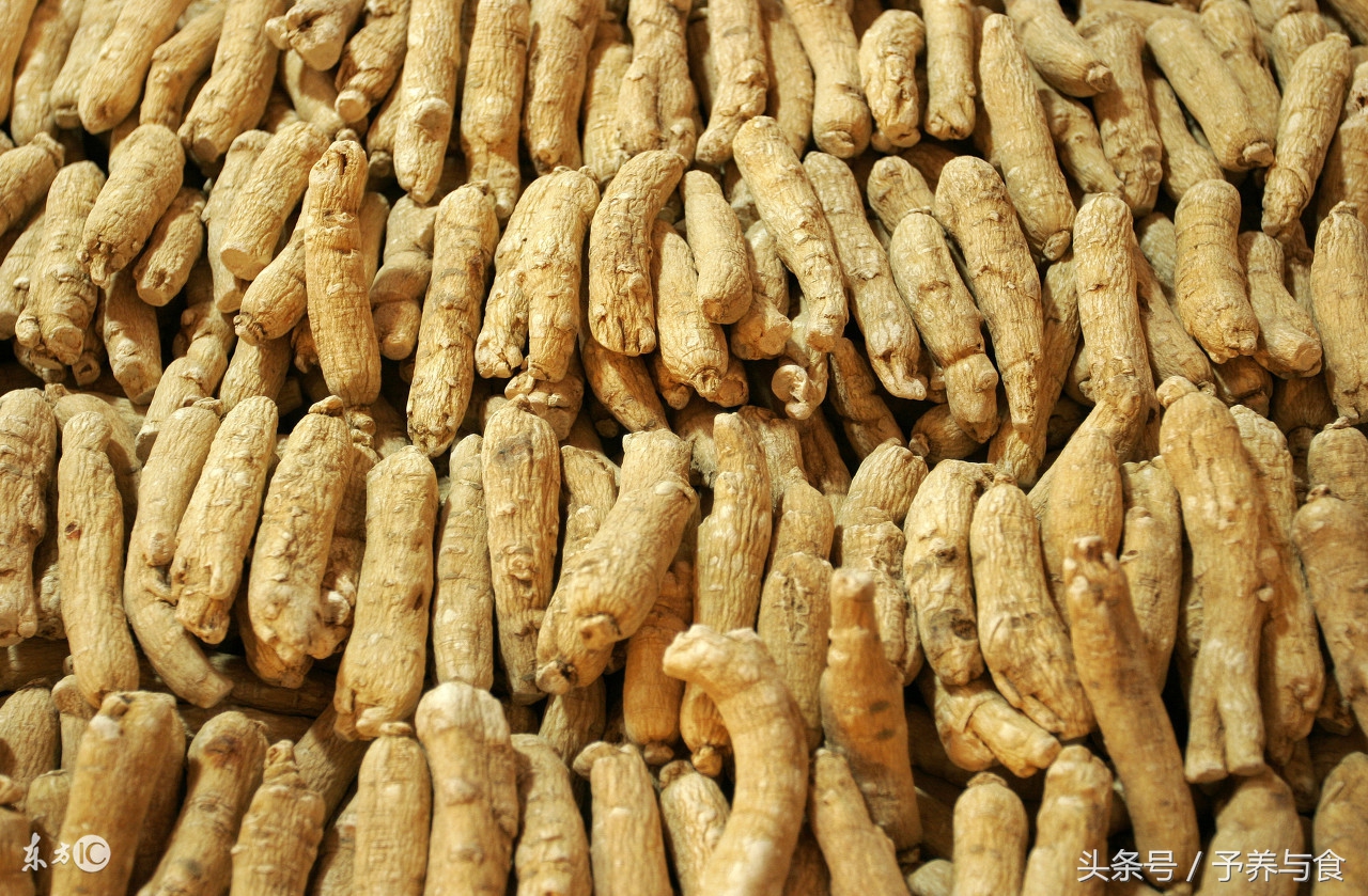 西洋参什么人不能食用,西洋参的营养价值与功效与禁忌