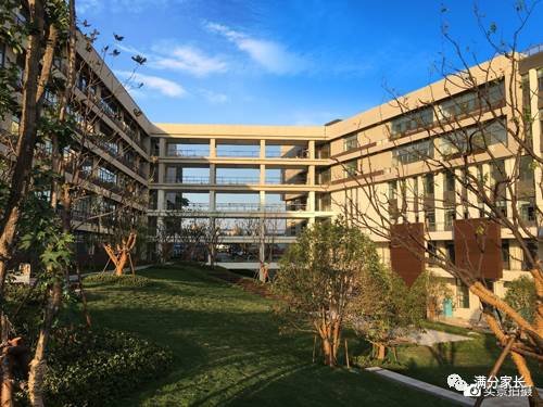 势压五大名校，直逼枫杨，这所新学校到底有多大的潜力？