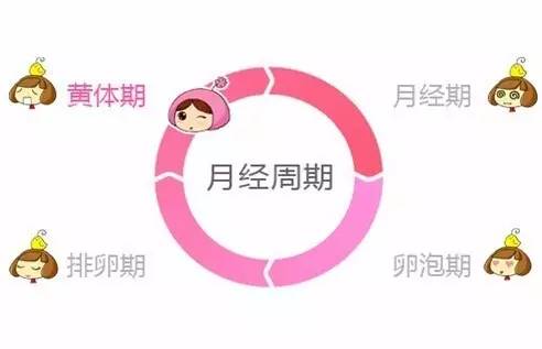 孕前期见红中后期需要关注什么,孕中后期关注事项