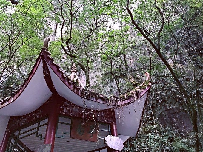 七天六晚长沙张家界吃货视角带你领略冰天雪地的张家