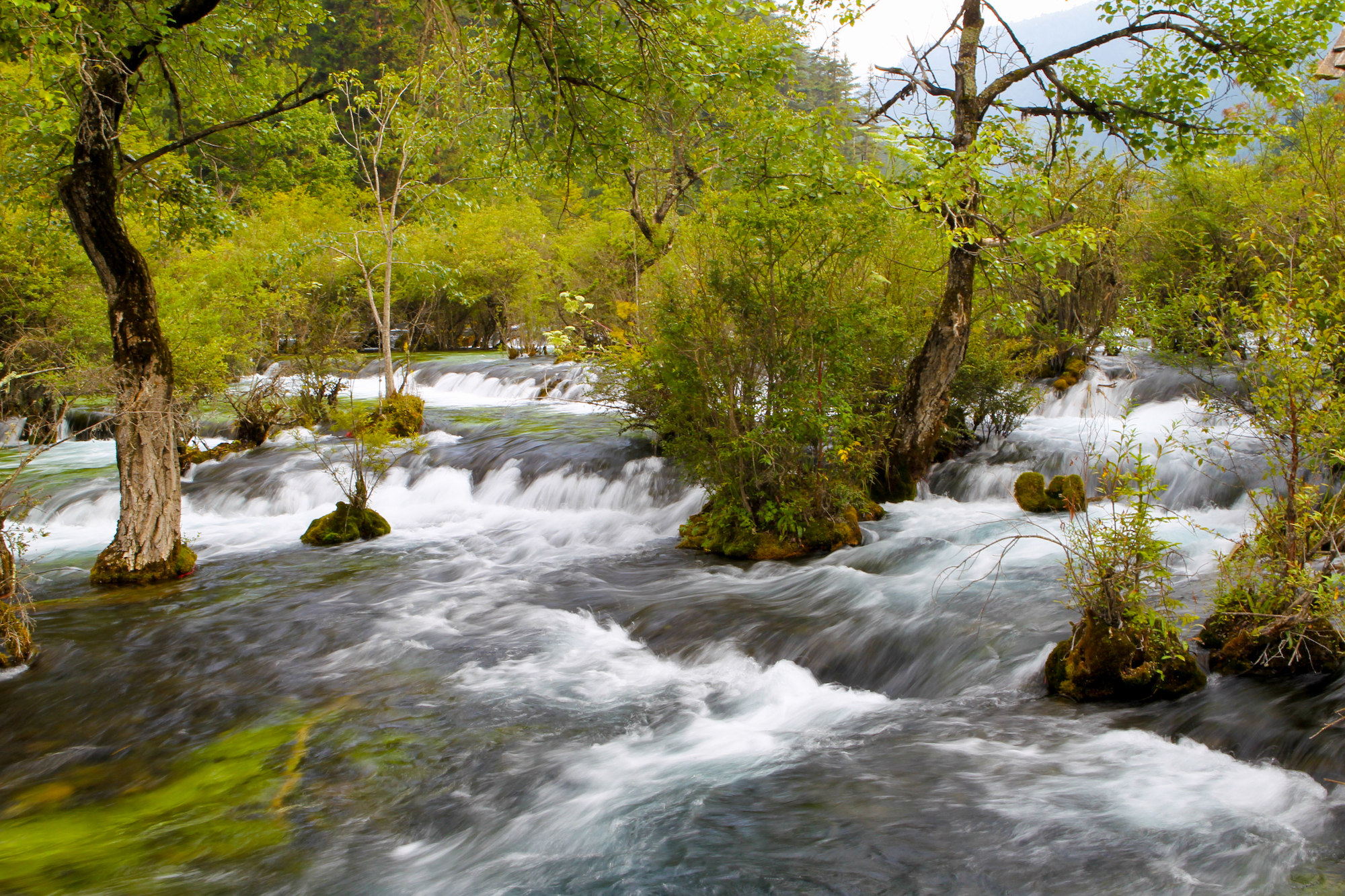 地震前的九寨沟美景,航拍地震前九寨沟所有景点