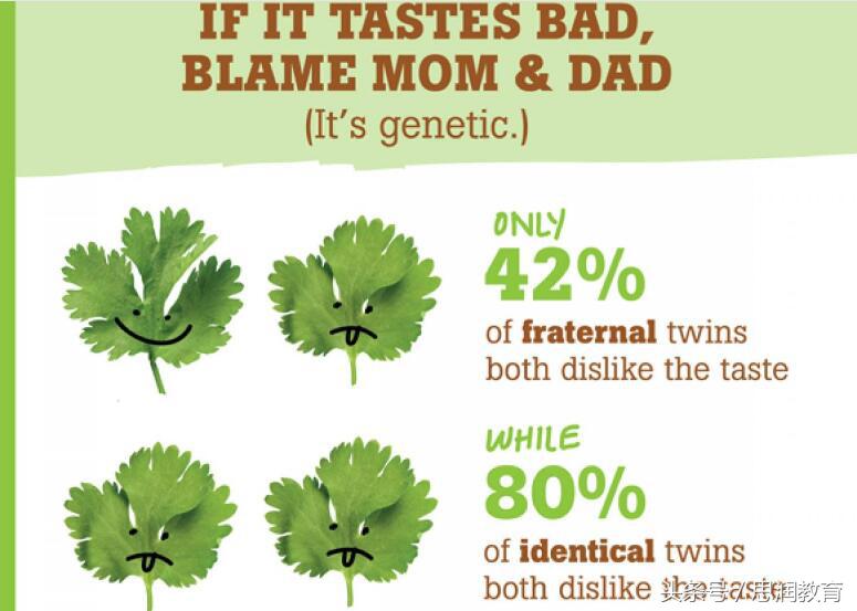 中国人最讨厌的十种蔬菜,香菜外国