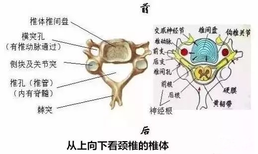 疼痛定位怎么做,疼痛治疗初期药物剂量调整