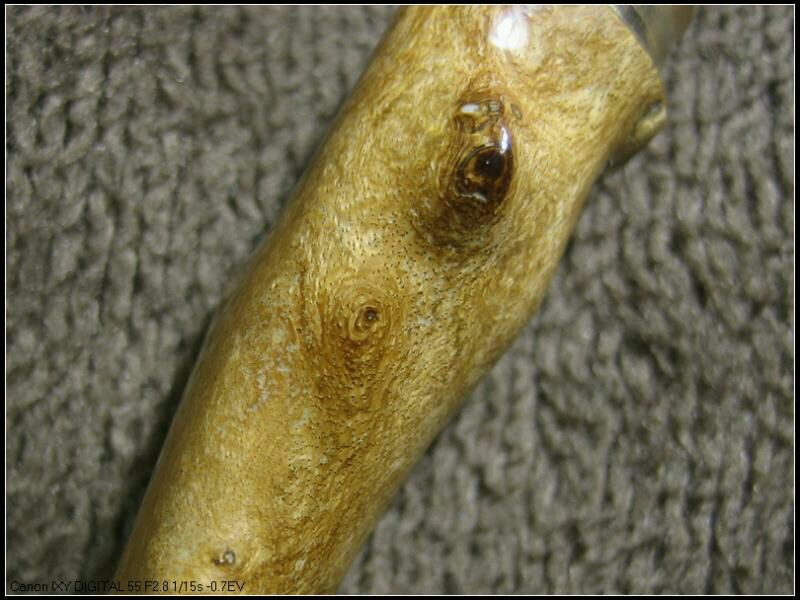 金丝柳海柳烟嘴,海柳金丝柳烟嘴图片