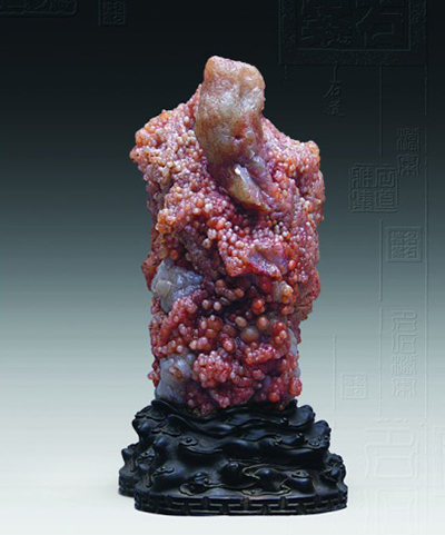 长满小疙瘩的石头,浑身起的密密麻麻的疙瘩不痒