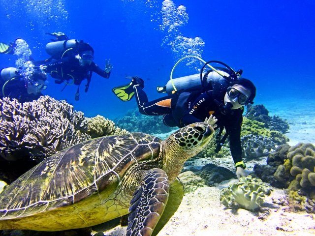 杜马盖地阿波岛图片,杜马盖地阿波岛攻略