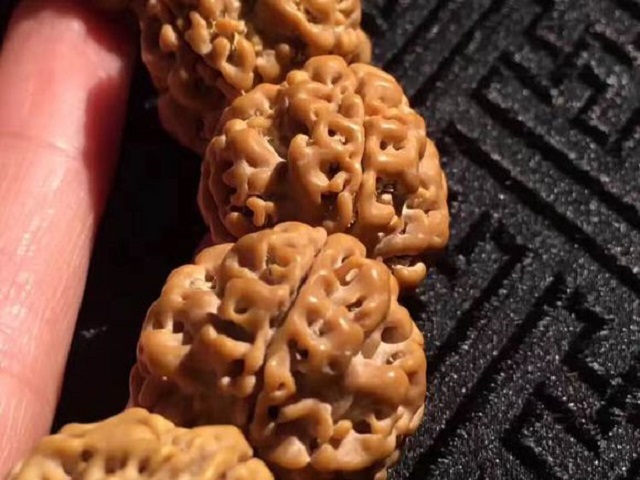 极品金刚菩提怎样挑选，金刚菩提籽多少钱一颗？你想知道的都在这