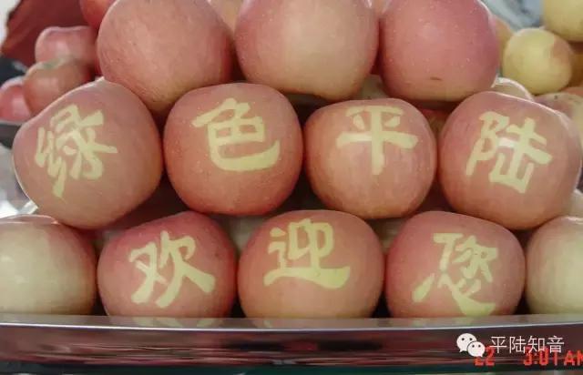 令我魂牵梦萦的故乡,平陆运河我的家乡我的梦