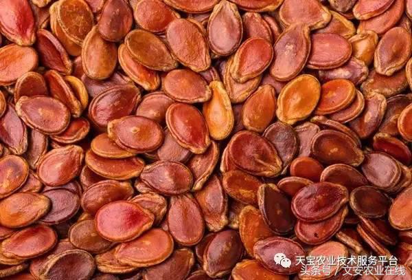 完整的土壤知识快收藏吧,土壤肥料基础知识