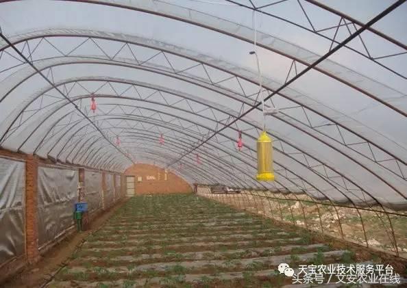 完整的土壤知识快收藏吧,土壤肥料基础知识