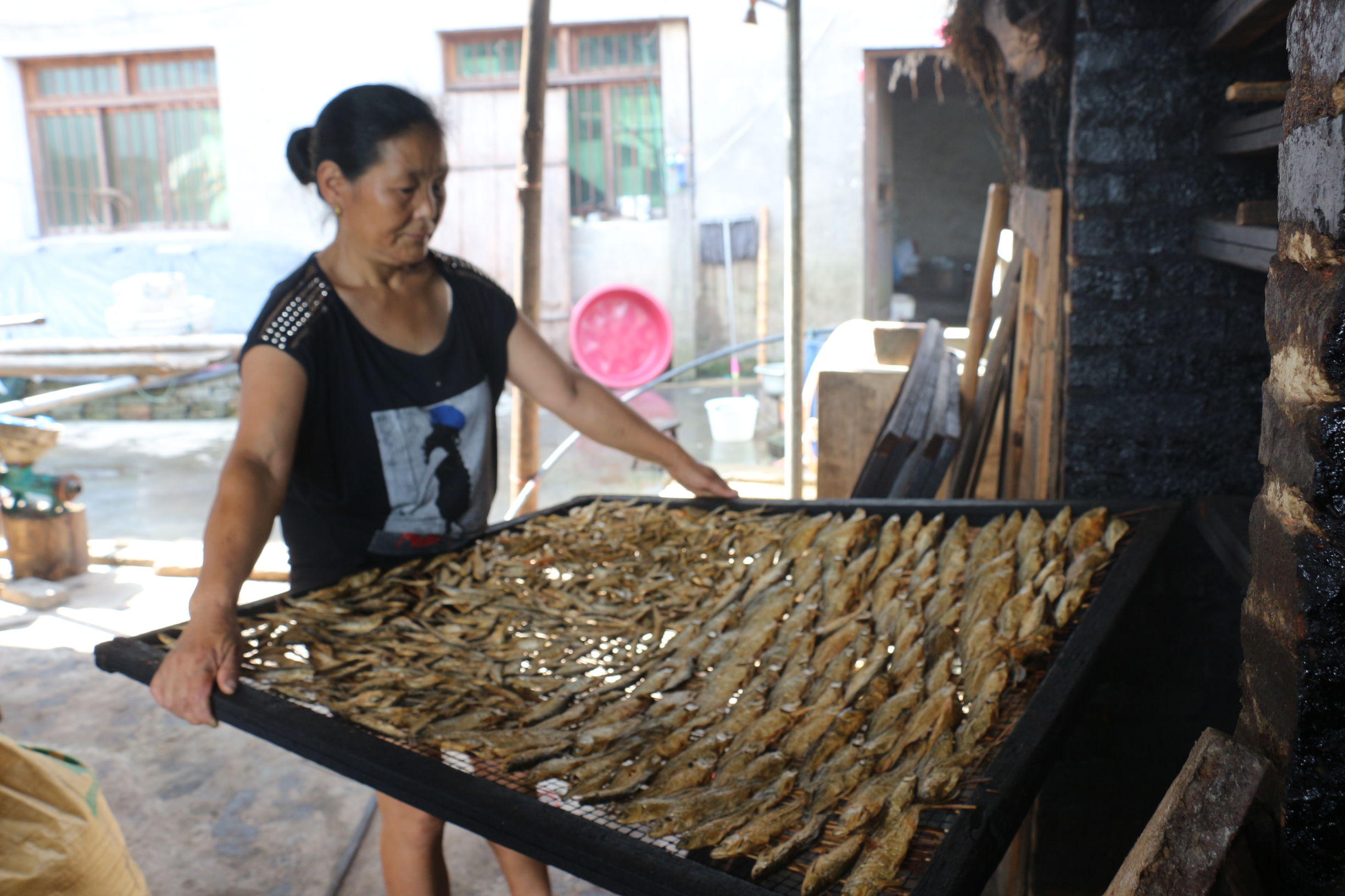 黔东南剑河县清水江鱼种大全,剑河县清水江有什么鱼