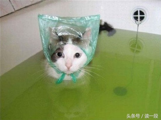 你们那管洗澡搓下来的泥叫什么？我们这叫“人渣”