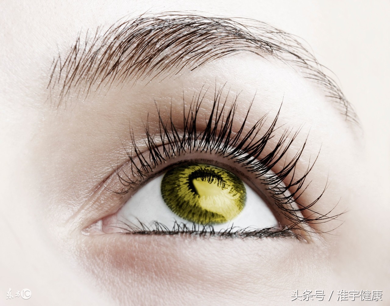 吃什么可以使眼睛清澈明亮有神,吃什么药使眼睛明亮有神