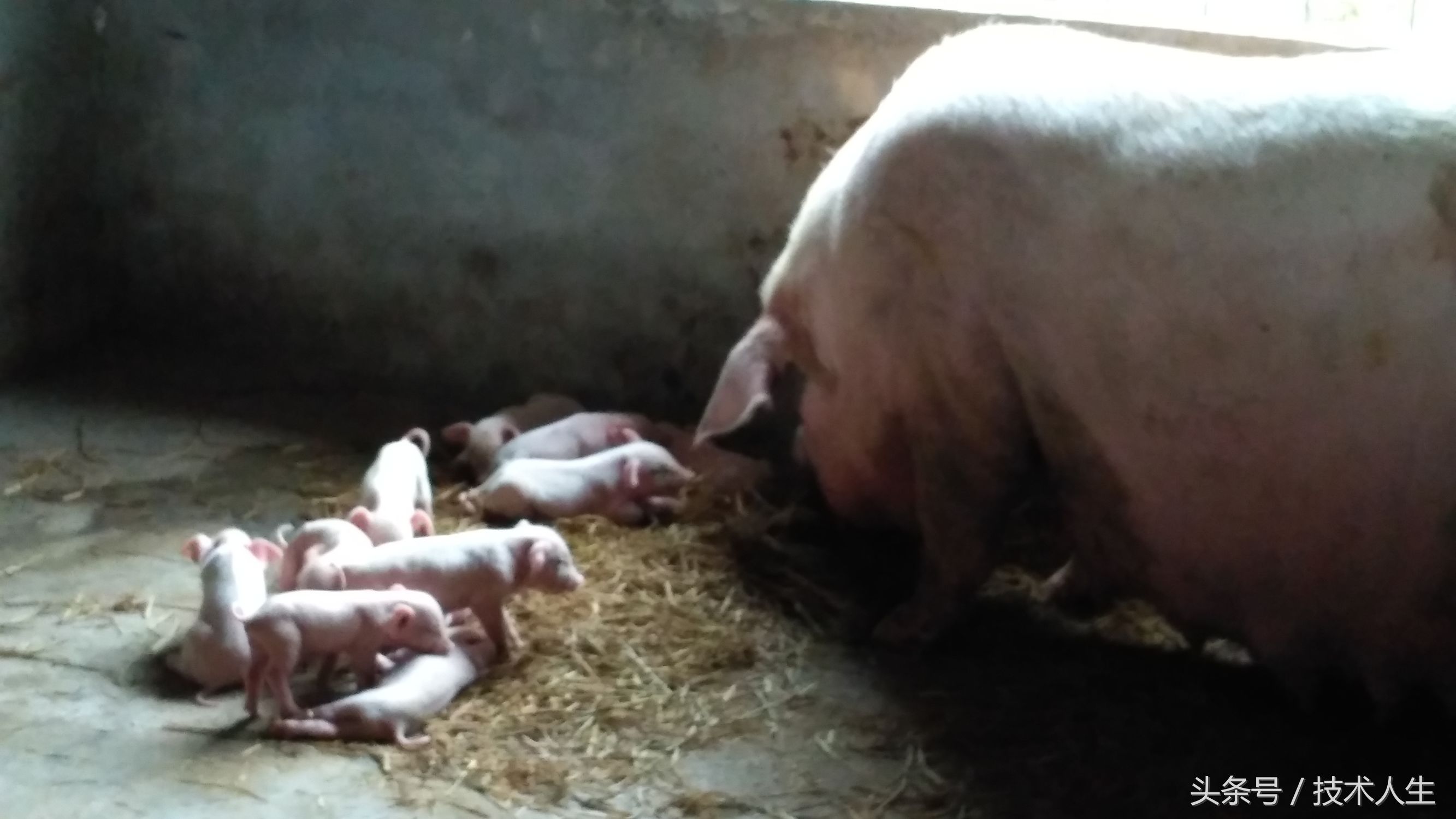 修电视把其他地方修坏了,修电视的坑