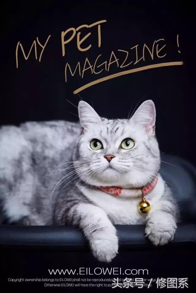 修图师会用哪些修图软件,修图师都用ps么