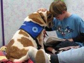 养猫后晚期癌症居然不治而愈！养宠物有这么神奇吗？