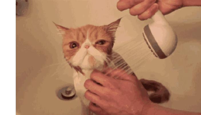 你们那管洗澡搓下来的泥叫什么？我们这叫“人渣”