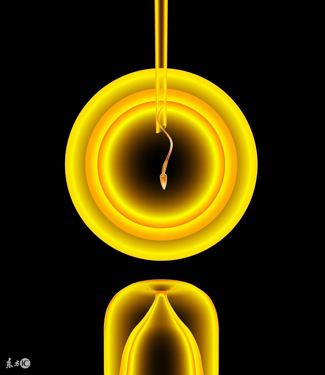 试管婴儿答疑解惑,有关试管婴儿有趣问题