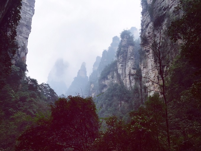 七天六晚长沙张家界吃货视角带你领略冰天雪地的张家