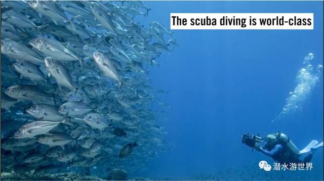 菲律宾10大海岛排名,菲律宾十大海岛