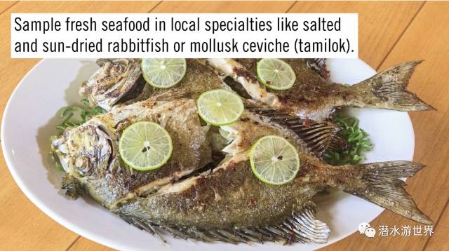 菲律宾10大海岛排名,菲律宾十大海岛