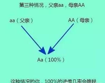 父亲脱发儿子脱发几率,父辈脱发一定会遗传吗