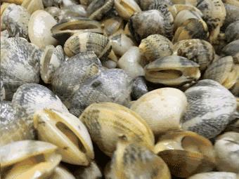 特色花甲米线,成都好吃的花甲米线