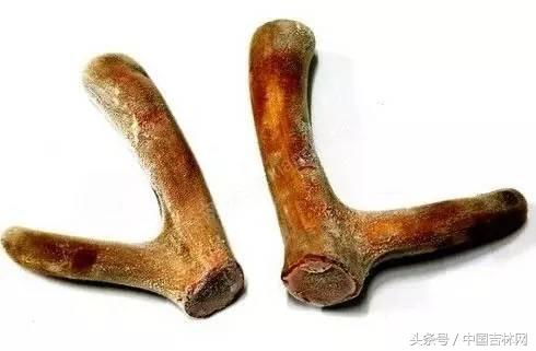 到吉林玩买啥、吃啥？再也不用刘烨代购吉林土特产了！