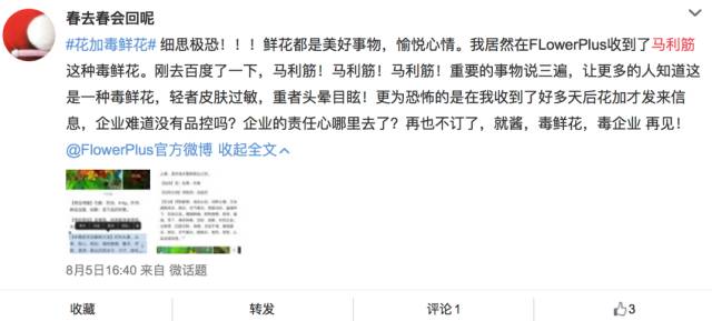 flowerplus怎么了,flowerplus花加女神节