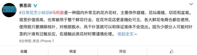 flowerplus怎么了,flowerplus花加女神节