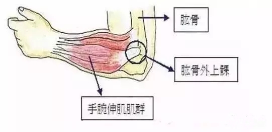 疼痛定位怎么做,疼痛治疗初期药物剂量调整