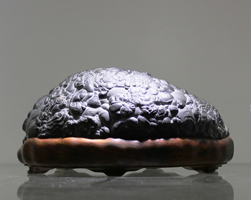 长满小疙瘩的石头,浑身起的密密麻麻的疙瘩不痒