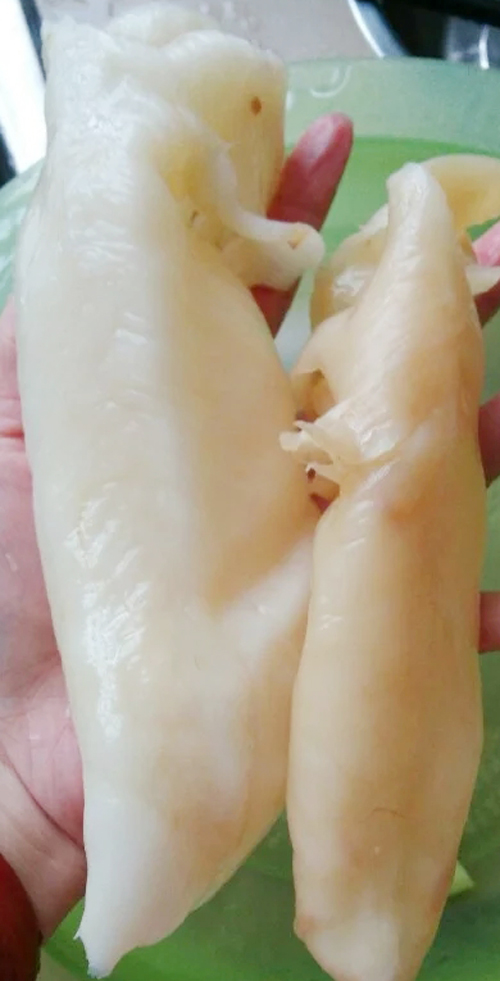 花胶桃胶莲子汤,花胶虫草花汤的功效与作用