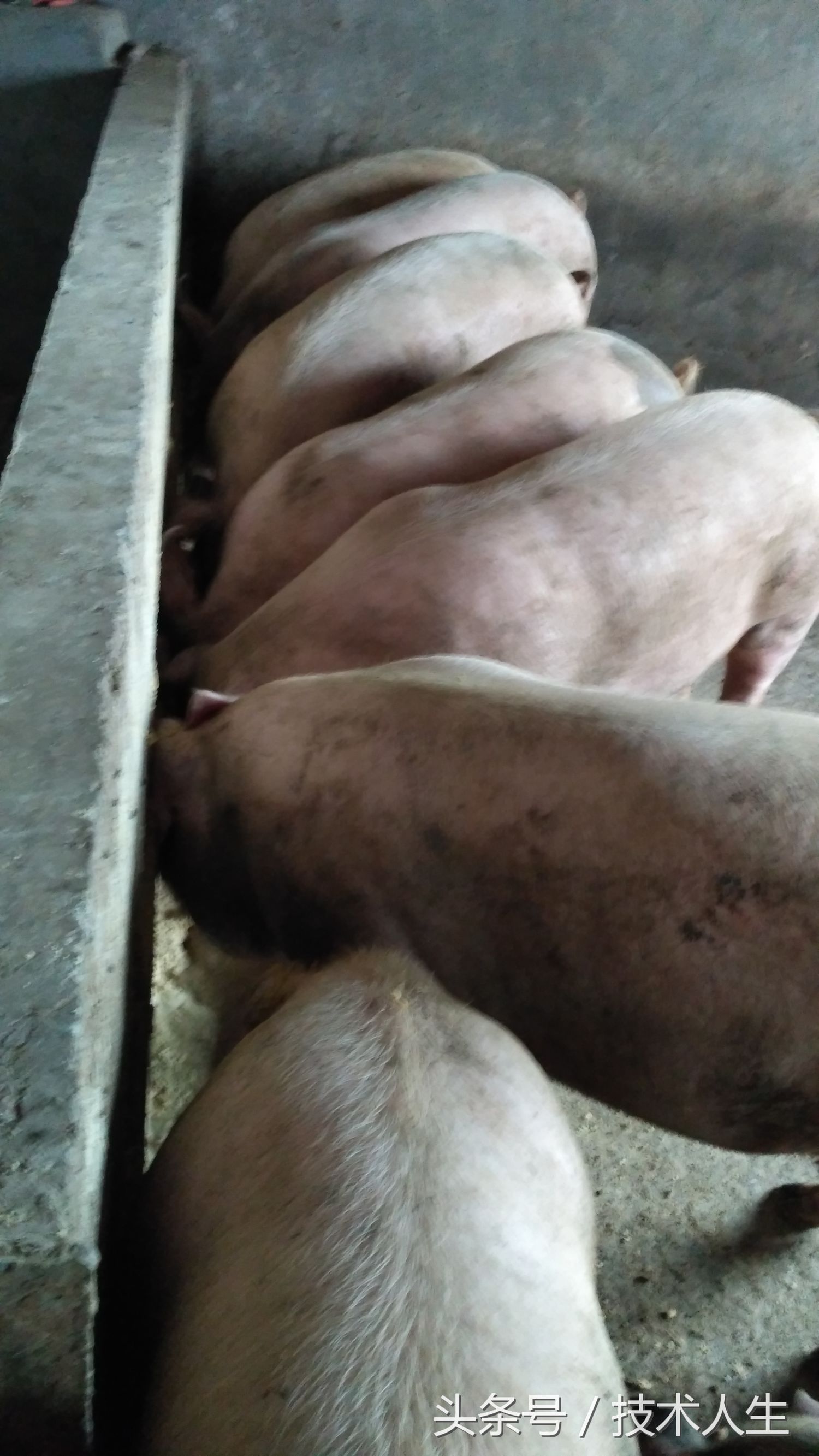 修电视把其他地方修坏了,修电视的坑