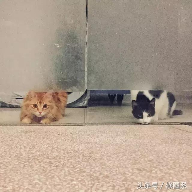 修图师会用哪些修图软件,修图师都用ps么