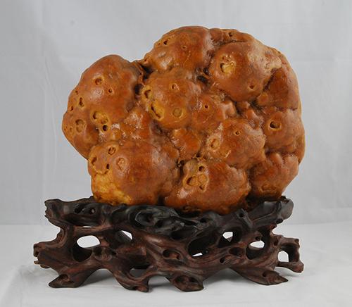 长满小疙瘩的石头,浑身起的密密麻麻的疙瘩不痒