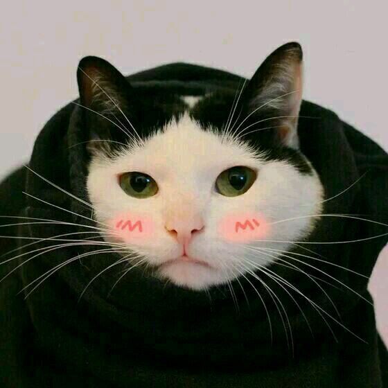 情侣头像ins高级质感高清,特别明显的高清情侣头像