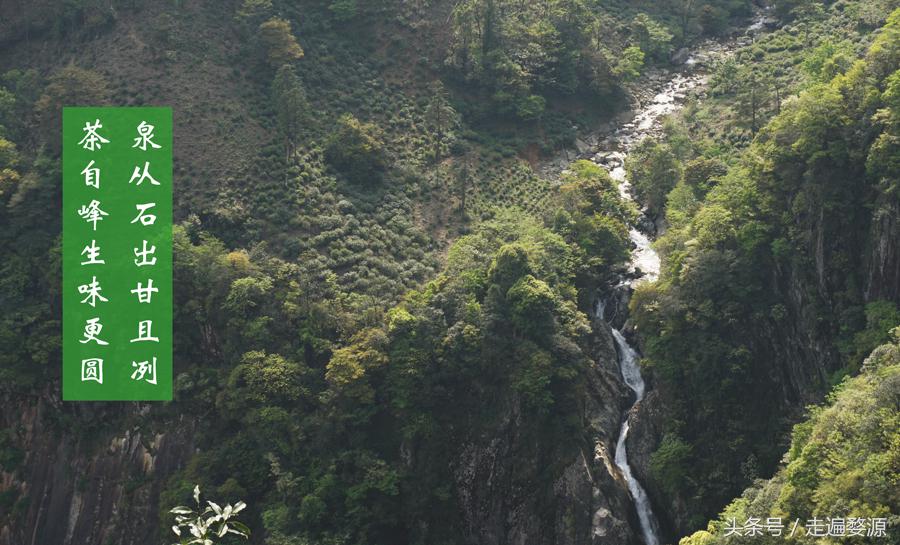 婺源千年茶乡,中国最美乡村婺源有什么美食