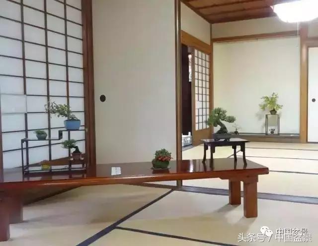 盆景的意境之美,优雅的盆景