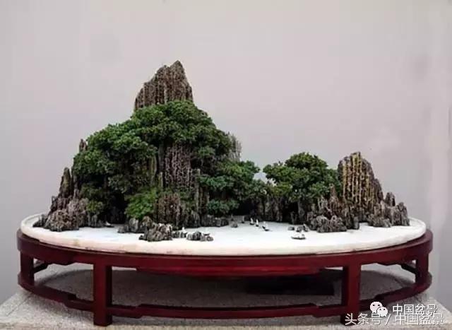 盆景的意境之美,优雅的盆景