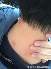 最适合女性的养颜食品，一种美味水果