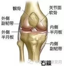 运动之后膝关节痛是怎么回事,运动后导致膝盖疼
