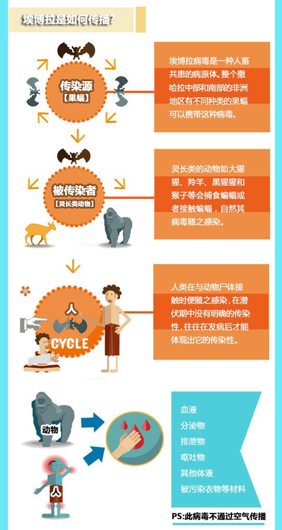 战狼2冷锋感染拉曼拉治愈救人,战狼2中的拉曼拉