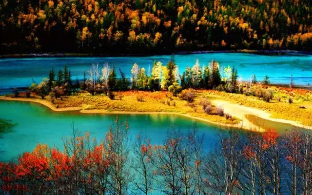 中国国花有什么样的品质,中国国花有什么品质