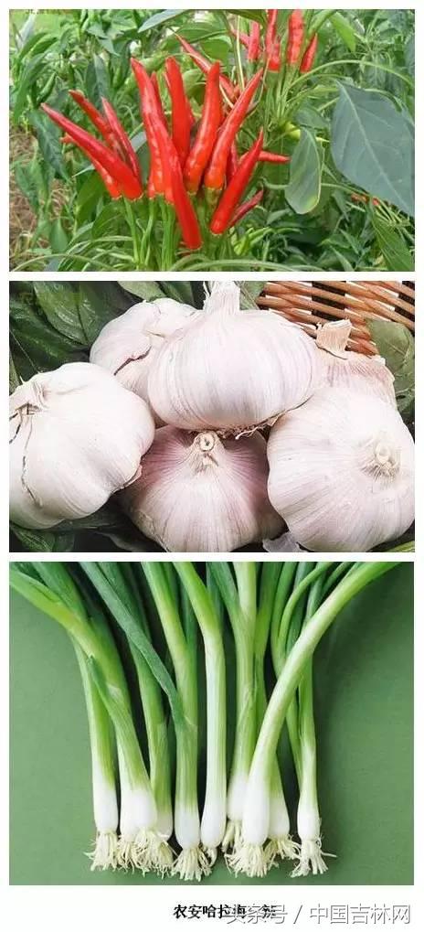 到吉林玩买啥、吃啥？再也不用刘烨代购吉林土特产了！